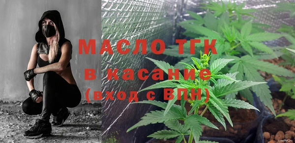 стаф Бородино