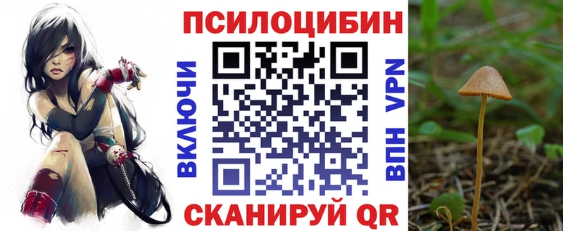 Псилоцибиновые грибы прущие грибы купить наркотик Завитинск