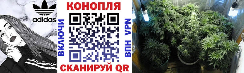 Каннабис VHQ  Завитинск 